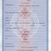Свидетельство ЗАГС Украины с 1993 по 2004 год (на формате а4)
