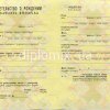 Свидетельство о рождении Грузия