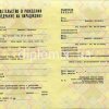 Свидетельство о рождении Белорус