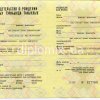 Свидетельство о рождении Башкир