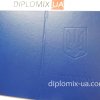 Диплом ПТУ образца 1993-1999 года - обложка