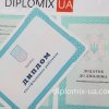 Диплом ПТУ с 2014 по 2021 год