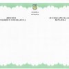 Junior Specialist Diploma нового образца