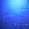 Украинский диплом бакалавра (2017-2021) ультрафиолет
