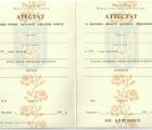Украинский аттестат за 11 класс 1993-1999