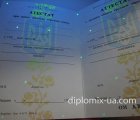Украинский аттестат за 11 класс 1993-1999 под ультрафиолетом